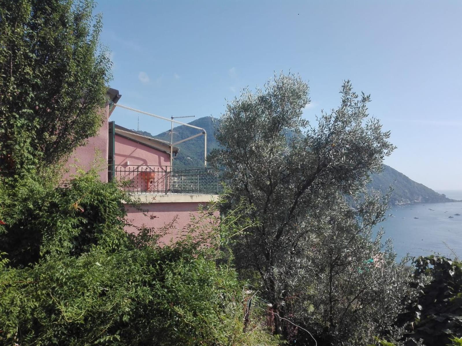 Apartamento Terrazzo Sul Mare Camogli Exterior foto